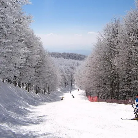 Ferienhaus La Balena Bianca House *